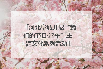 河北阜城开展“我们的节日·端午”主题文化系列活动